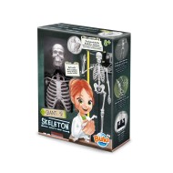 Buki | Εκπαιδευτικό παιχνίδι Σκελετός 45 εκ. 