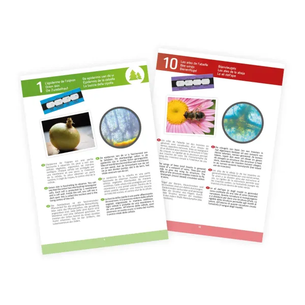 Buki | Μικροσκόπιο με 15 πειράματα