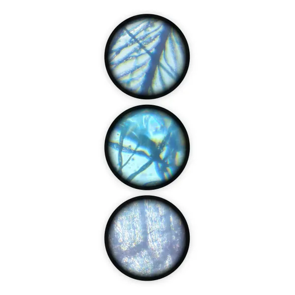 Buki | Μικροσκόπιο με 15 πειράματα