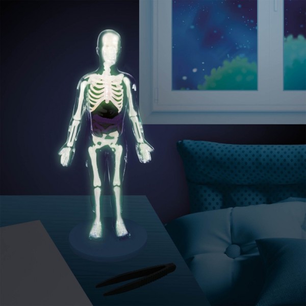 Buki | Κατασκευή - Ανθρώπινο Σώμα