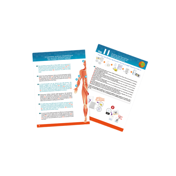 Buki | Κατασκευή - Ανθρώπινο Σώμα