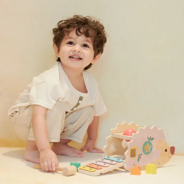 Classic World | Ξύλινος Σκαντζόχοιρος με Δραστηριότητες και Ξυλόφωνο