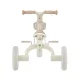 Globber | Τρίκυκλο ποδήλατο Learning Trike 3 In 1 Plus Eco - Coconut