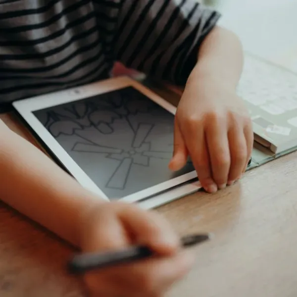 Kidywolf | Tablet ζωγραφικής με οθόνη LCD (30 κάρτες) - Dinosaurs