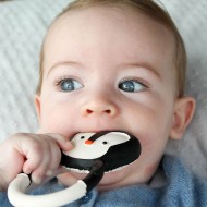 Lanco | Μασητικό οδοντοφυΐας από φυσικό καουτσούκ - Πιγκουίνος