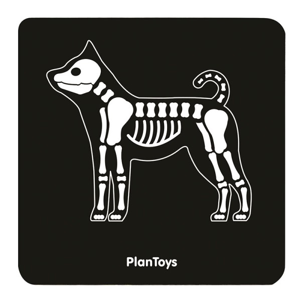 Plan Toys | Παιχνίδι Ρόλου -  Κτηνιατρικά Εργαλεία