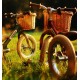 Trybike | Καλάθι Ποδηλάτου Trybike | Καλάθι Ποδηλάτου
